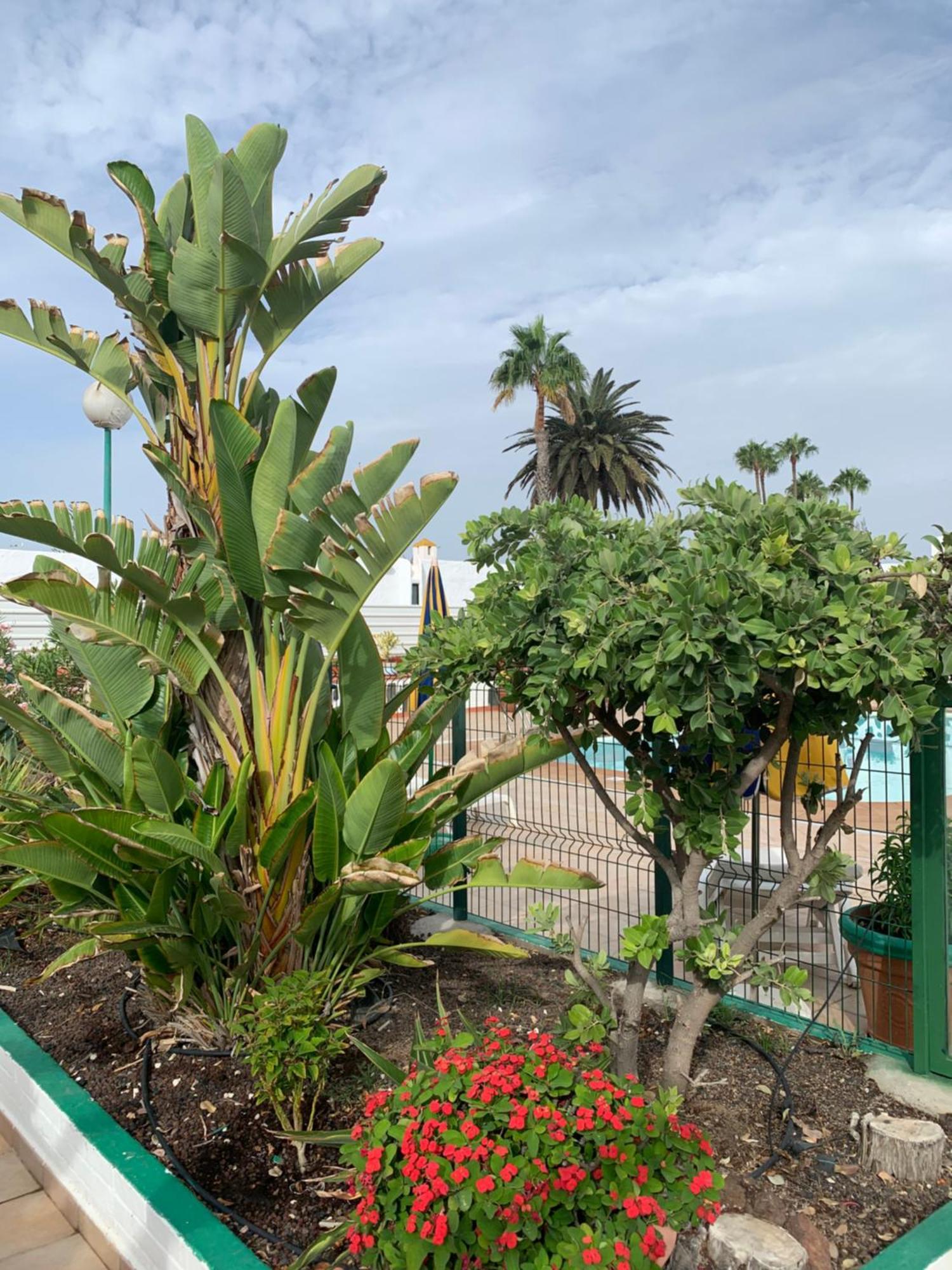 Villa Felicidad à Playa del Inglés Extérieur photo