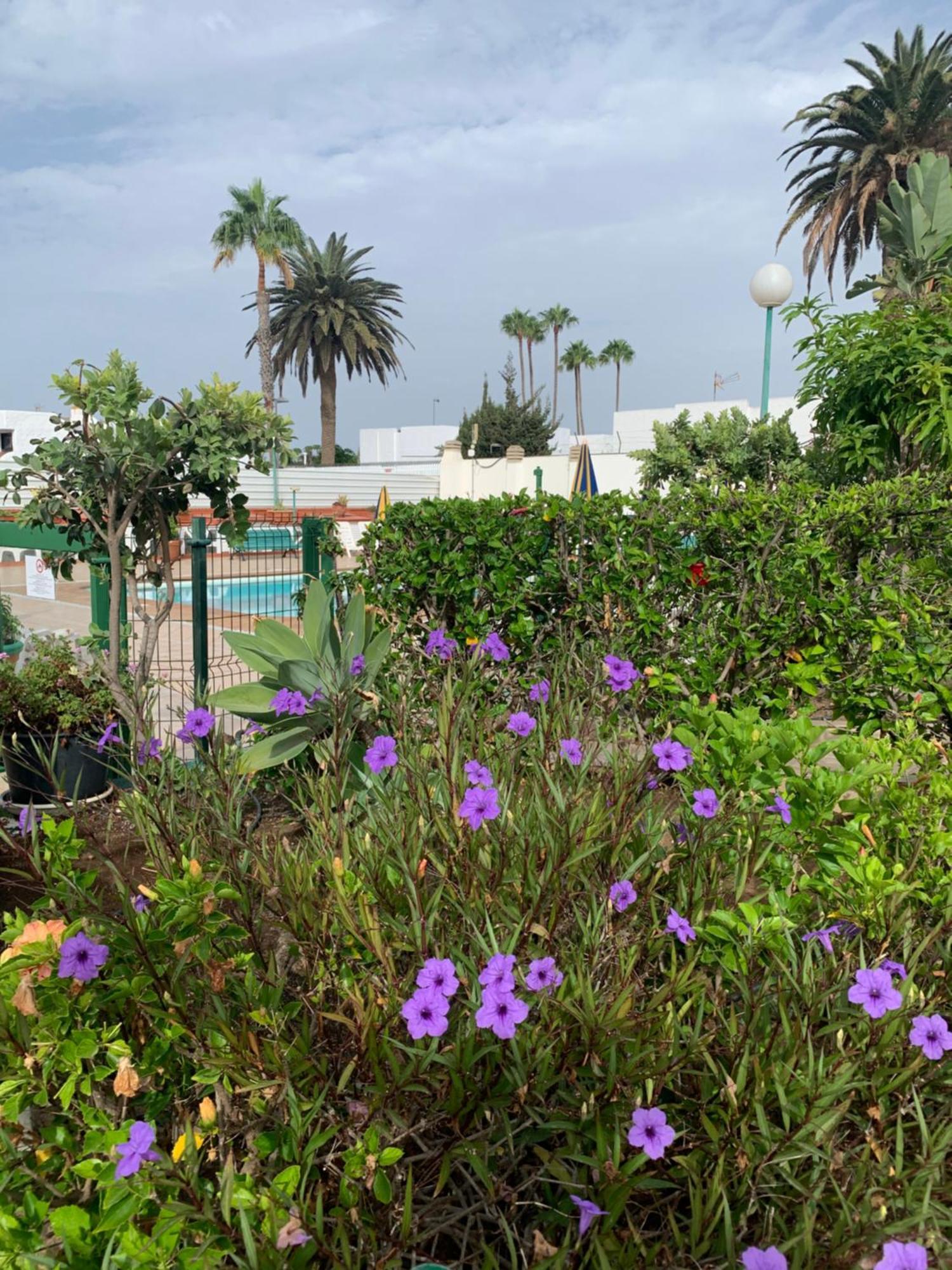 Villa Felicidad à Playa del Inglés Extérieur photo
